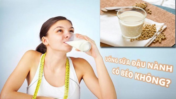 Uống sữa đậu nành có béo không?