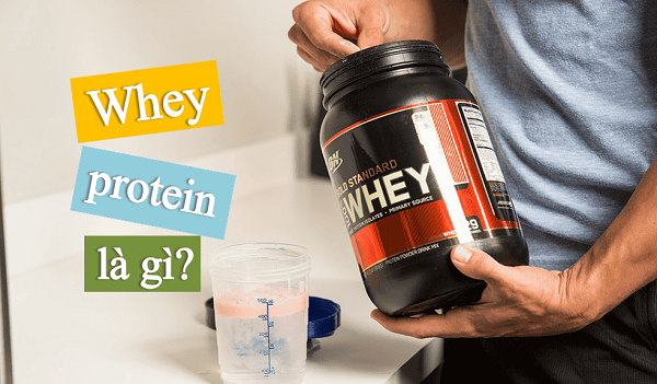 Whey protein là nguồn cung cấp protein chất lượng cao