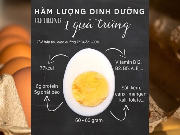 Một quả trứng gà bao nhiêu Protein