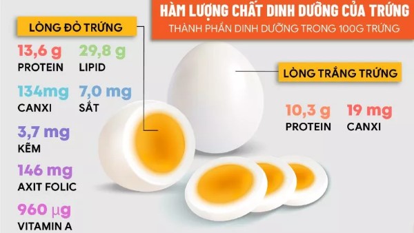 Hàm lượng protein trong trong đỏ và tròng trắng trứng gà 